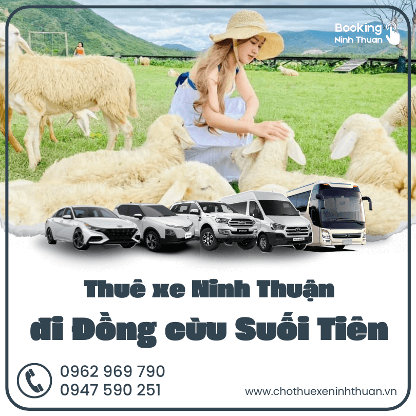 thue-xe-ninh-thuan-di-dong-cu-suoi-tien (2)