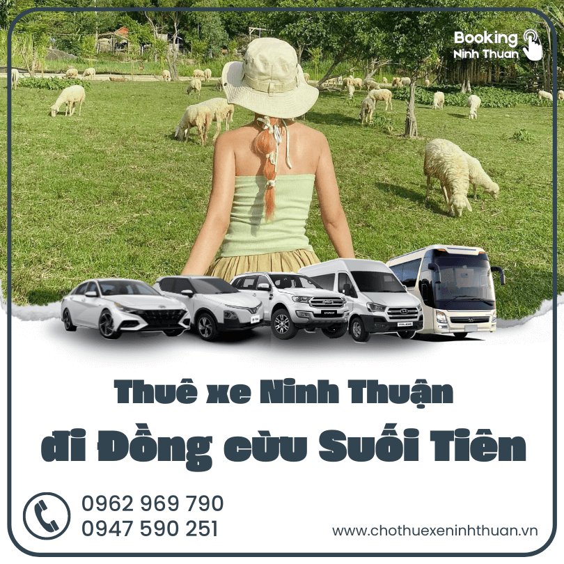 thue-xe-ninh-thuan-di-dong-cu-suoi-tien (4)