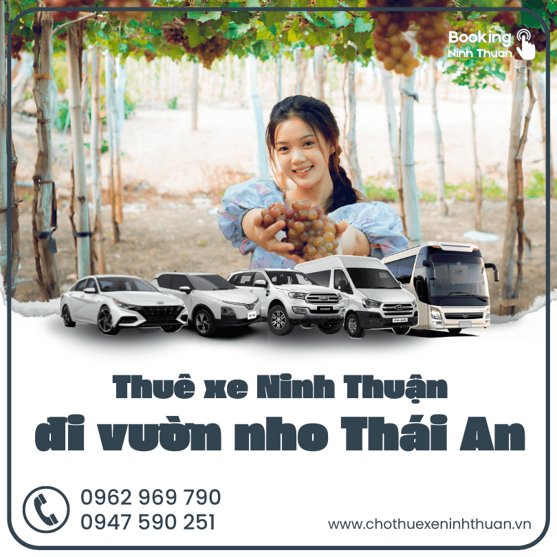 thue-xe-ninh-thuan-di-lang-nho-thai-an (2)