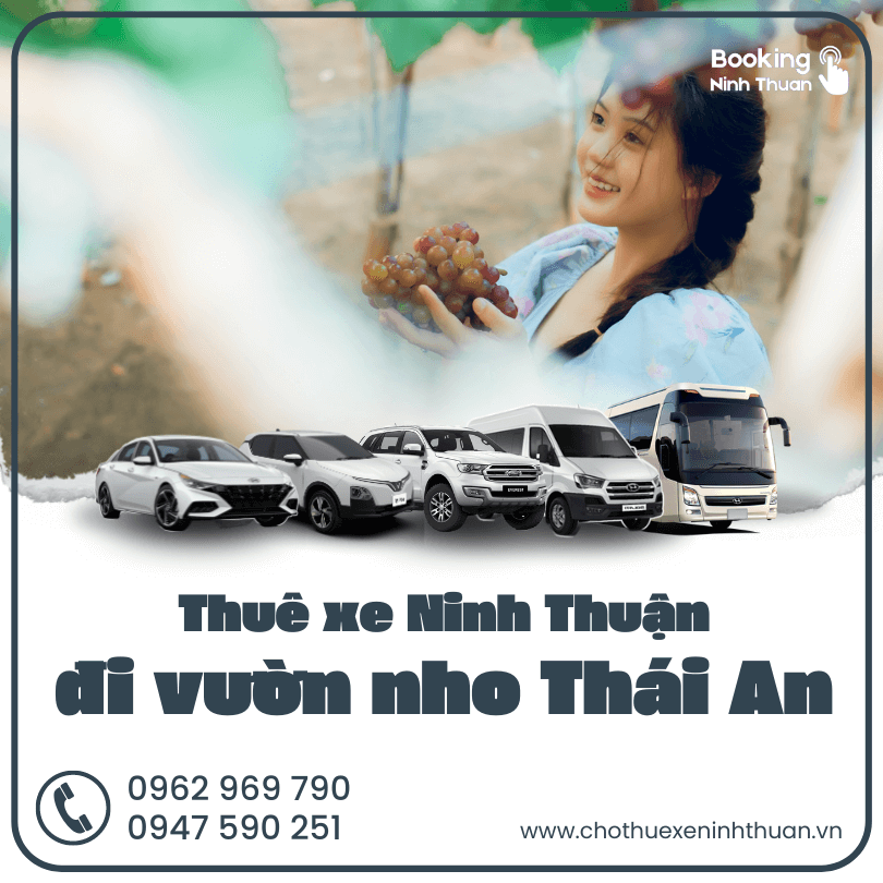 thue-xe-ninh-thuan-di-lang-nho-thai-an (3)