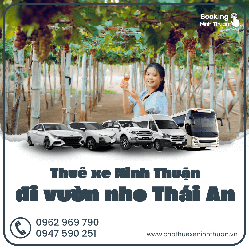 thue-xe-ninh-thuan-di-lang-nho-thai-an (4)