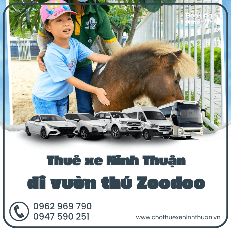 thue-xe-ninh-thuan-di-vuon-thu-zoodoo-phan-rang (2)