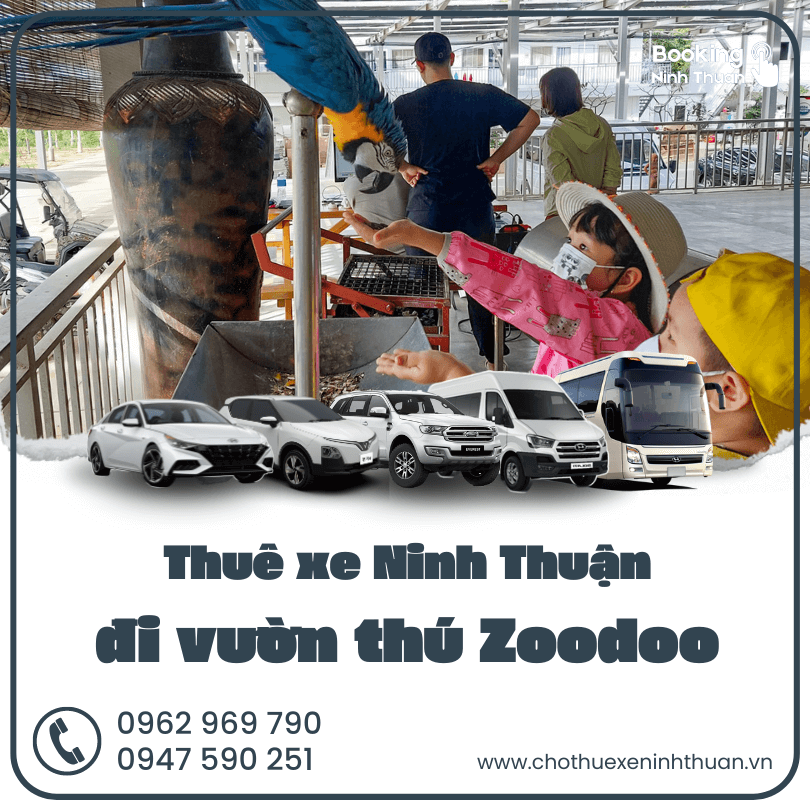 thue-xe-ninh-thuan-di-vuon-thu-zoodoo-phan-rang (4)